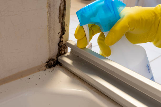 Best Mold Testing and Inspection Services in Buckeye Lake, OH